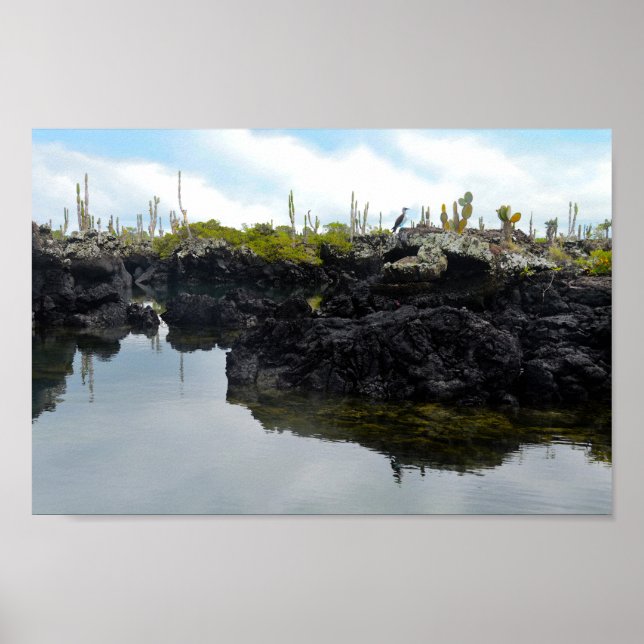 Póster Los Tuneles en las Islas Galápagos (Frente)