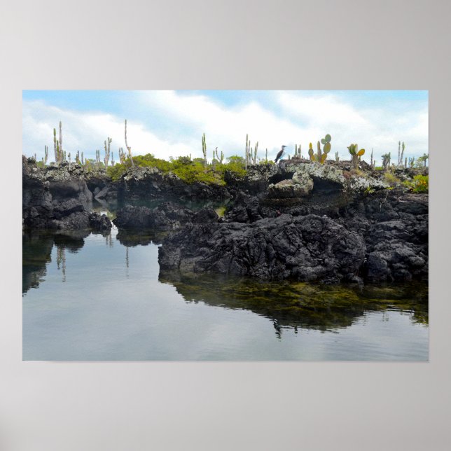 Póster Los Tuneles en las Islas Galapagos (Frente)
