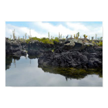 Los Tuneles en las Islas Galápagos