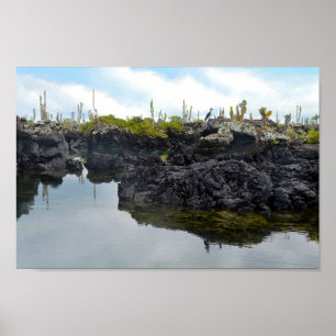 Póster Los Tuneles en las Islas Galápagos