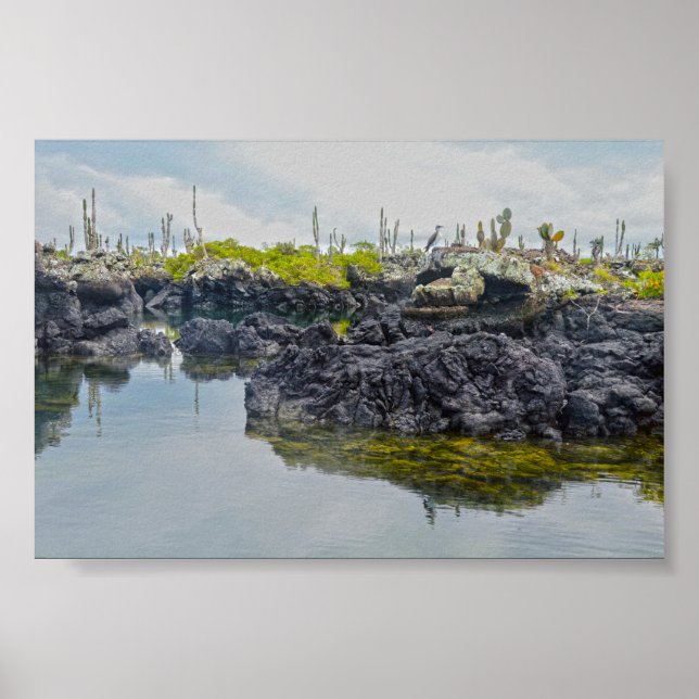 Póster Los Tuneles, Islas Galápagos, Ecuador (Frente)