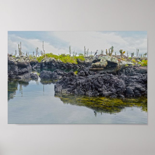 Póster Los Tuneles, Islas Galápagos, Ecuador (Frente)