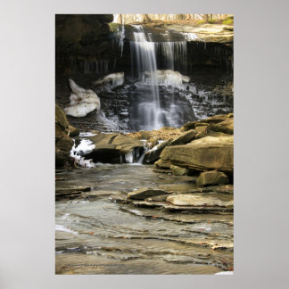 Póster Los últimos remanentes del invierno