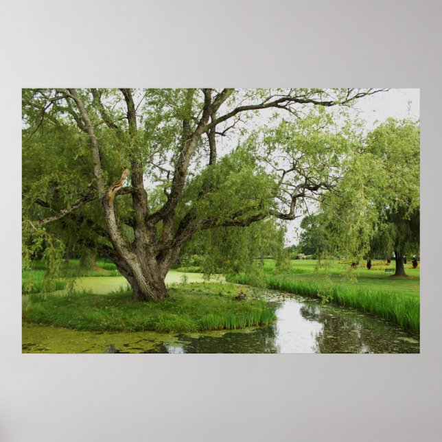 Póster Los verdes de magnífico pre (Frente)