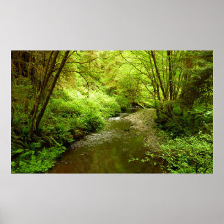 Póster Lost Man Creek I en el Parque Nacional Redwood