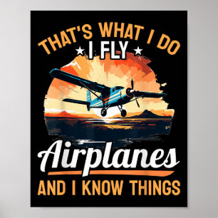 Póster Lote de aviones - Eso es lo que hago Vuelo en avió