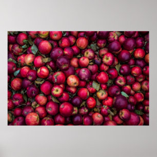 Póster Lote de manzanas rojas
