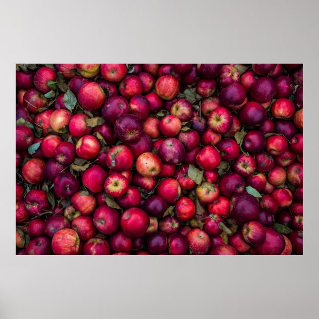 Póster Lote de manzanas rojas (Frente)