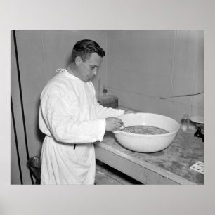 Póster Lote fresco de vacuna de la pulmonía: 1937