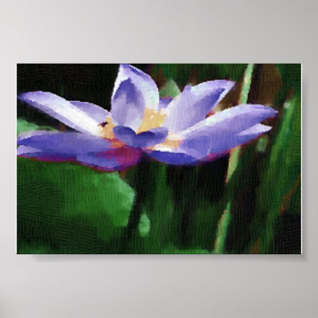 Póster loto (Frente)