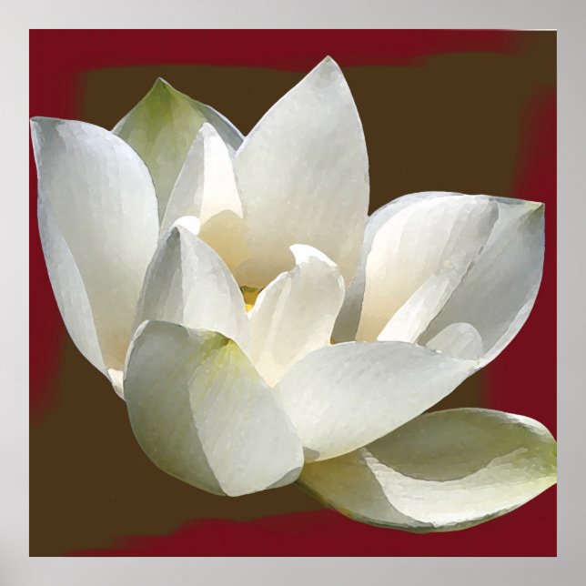 Póster loto1 (Frente)