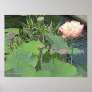 Póster Loto en el Jardín