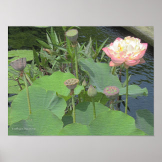 Póster Loto en el Jardín