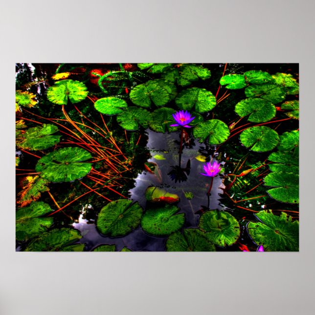 Póster Lotus 1 (Frente)