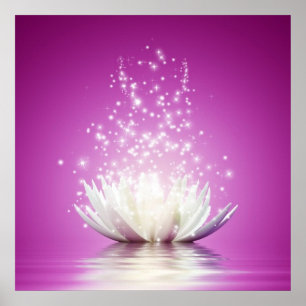 Póster Lotus chakra amor sanación sanación yoga zen energ