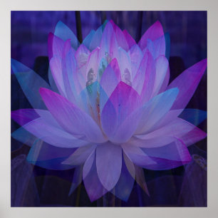 Póster Lotus en azul...