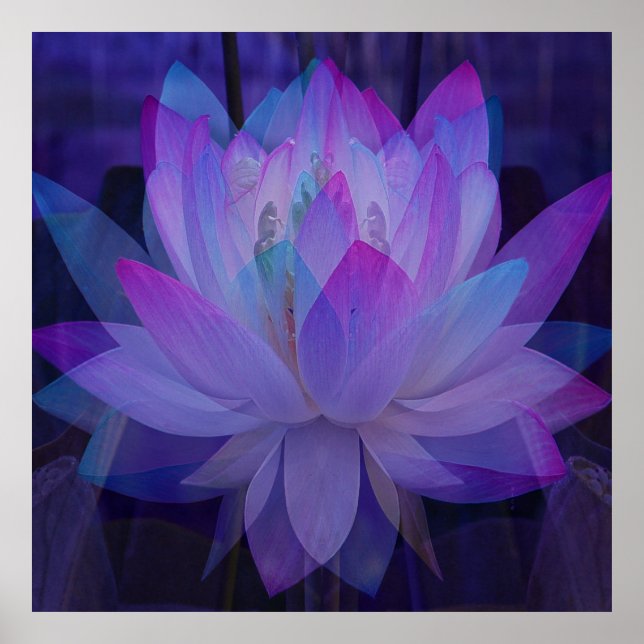 Póster Lotus en azul... (Frente)