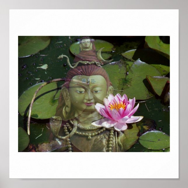 Póster Lotus y Buddha (Frente)