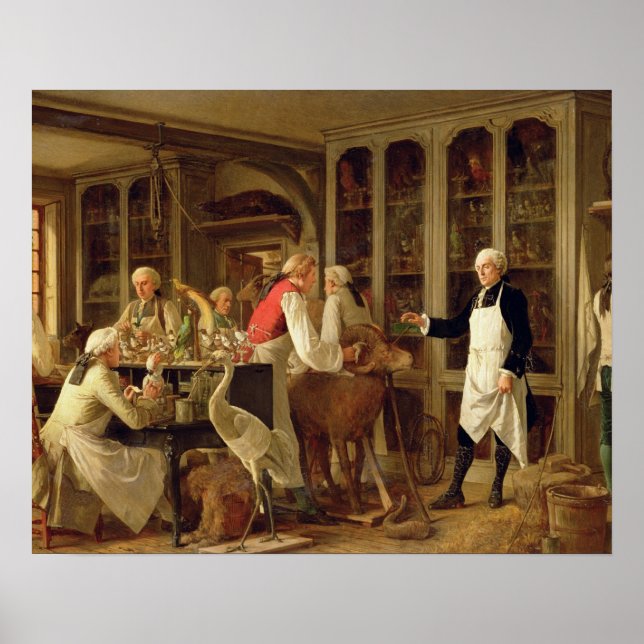 Póster Louis Jean Marie Daubenton (1716-99) en su Laborat (Frente)