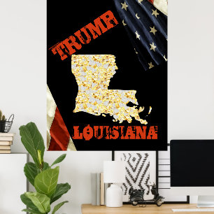 PÓSTER LOUISIANA