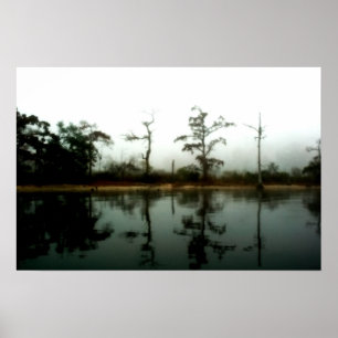 Póster Louisiana Swamp Morning