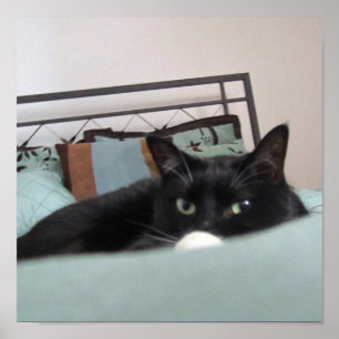 Póster Lounging Lucy