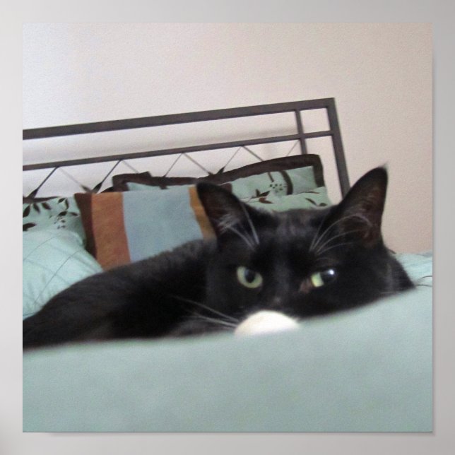 Póster Lounging Lucy (Frente)