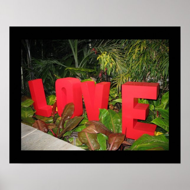 Póster LOVE 20" x 16", papel Poster de valor (mate) (Frente)