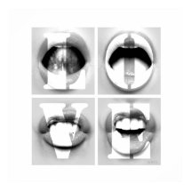 LOVE / A Portrait of Phonetic Emotion