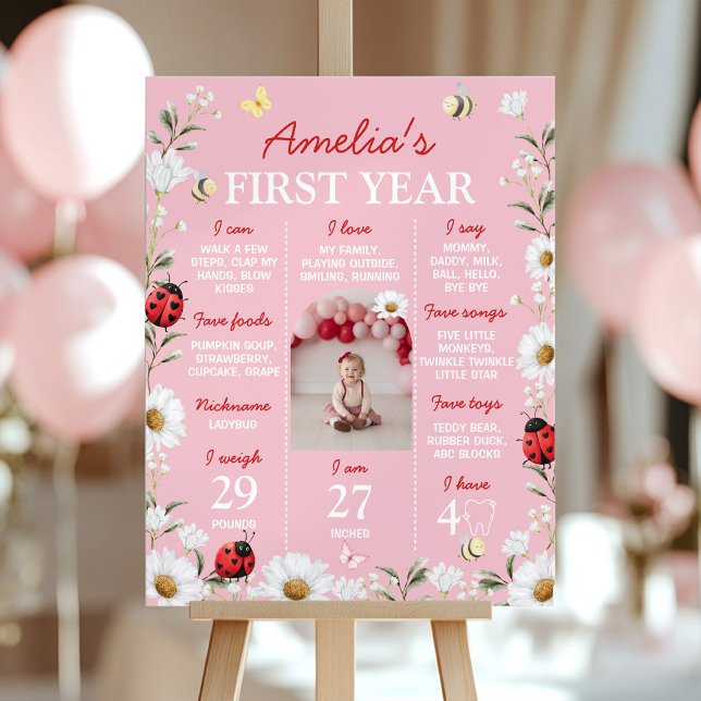 Póster Love Bug Daisy Birthday Photo Milestone Poster (Subido por el creador)