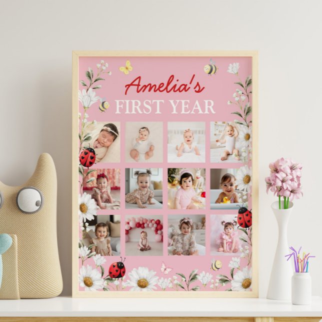 Póster Love Bug Daisy First Year Photo Milestone Poster (Subido por el creador)