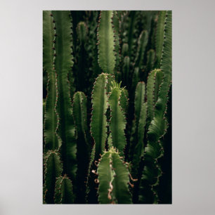 PÓSTER LOVE CACTUS