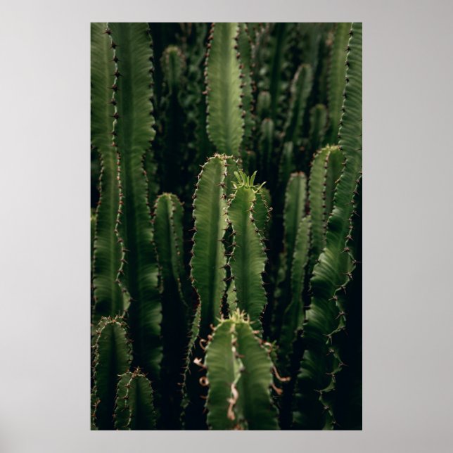 PÓSTER LOVE CACTUS (Frente)