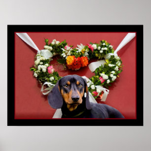 Póster Love Dachshund Poster