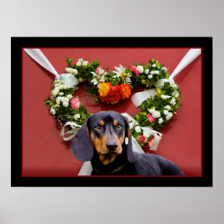 Póster Love Dachshund Poster