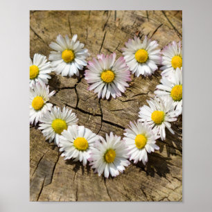 Póster Love Heart Daisies