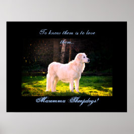 Póster Love Maremma sheepdogs II