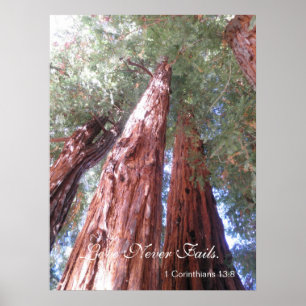 Póster Love Never Fails