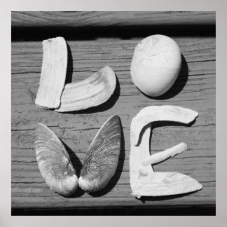 Póster LOVE Shell Poster blanco y negro