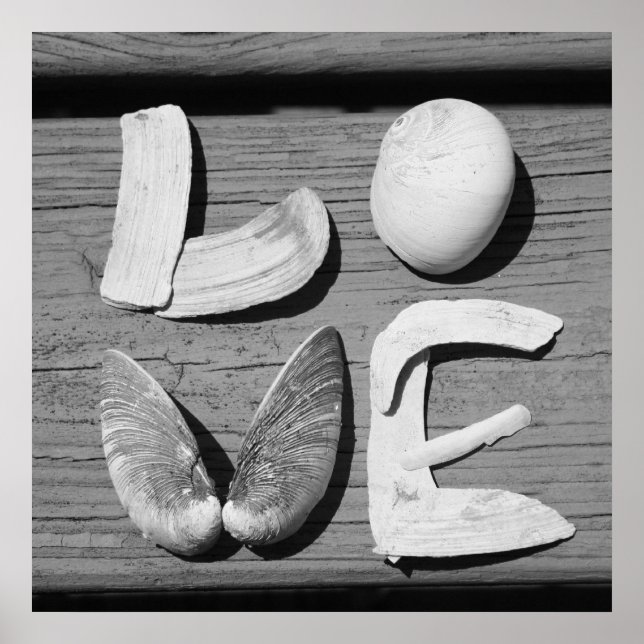 Póster LOVE Shell Poster blanco y negro (Frente)