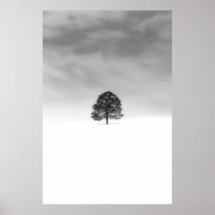 PÓSTER LOVE THE SIMPLICITY OF WINTER PHOTOGRAPHY THIS IS