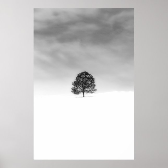 PÓSTER LOVE THE SIMPLICITY OF WINTER PHOTOGRAPHY THIS IS  (Frente)