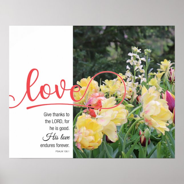 Póster Love Tulip Photograph Psalm 136:1 Poster (Frente)