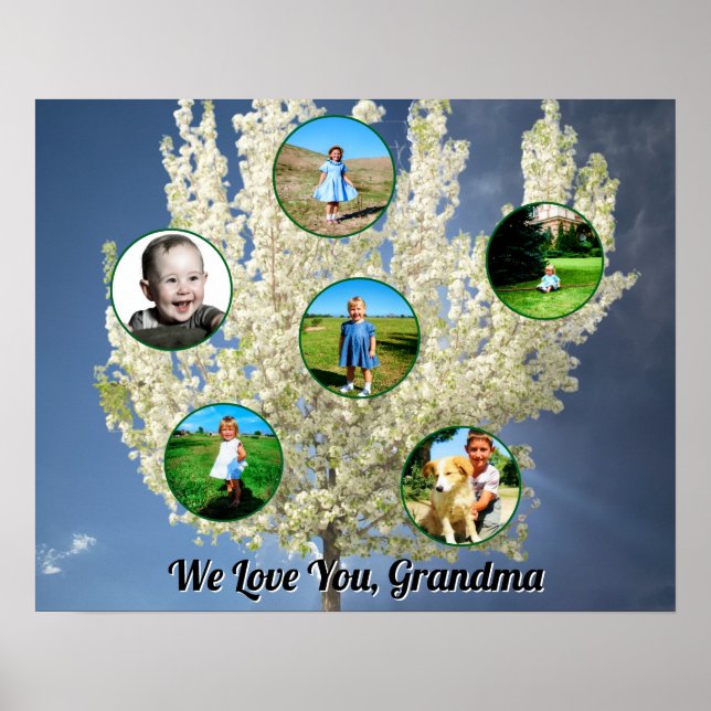 Póster Love You Grandma White Blossoming Tree Six Photos  (Frente)