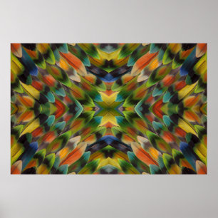 Póster Lovebird feather kaleidoscope