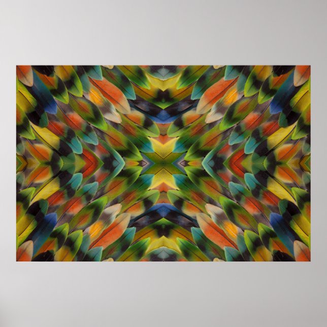 Póster Lovebird feather kaleidoscope (Frente)