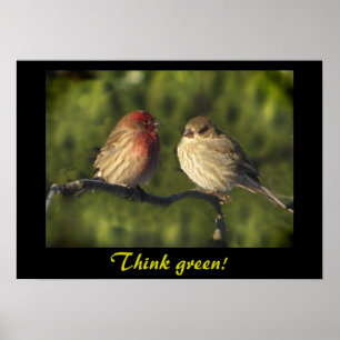 Póster Lovebirds Think Green