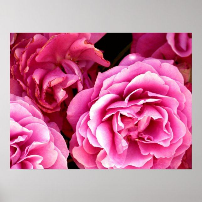 Póster Loved_ Poster (Frente)