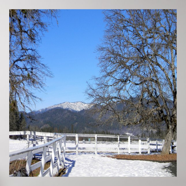 Póster Lovely day in Winter..... (Frente)