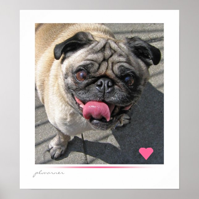 Póster Lovin' Pug (Frente)